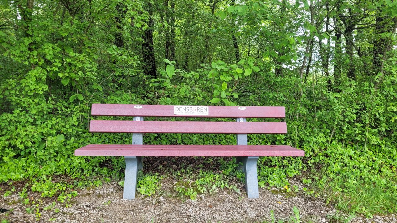 2024-07-31_Sitzbank Rheinfelden rot-grau (1).jpg