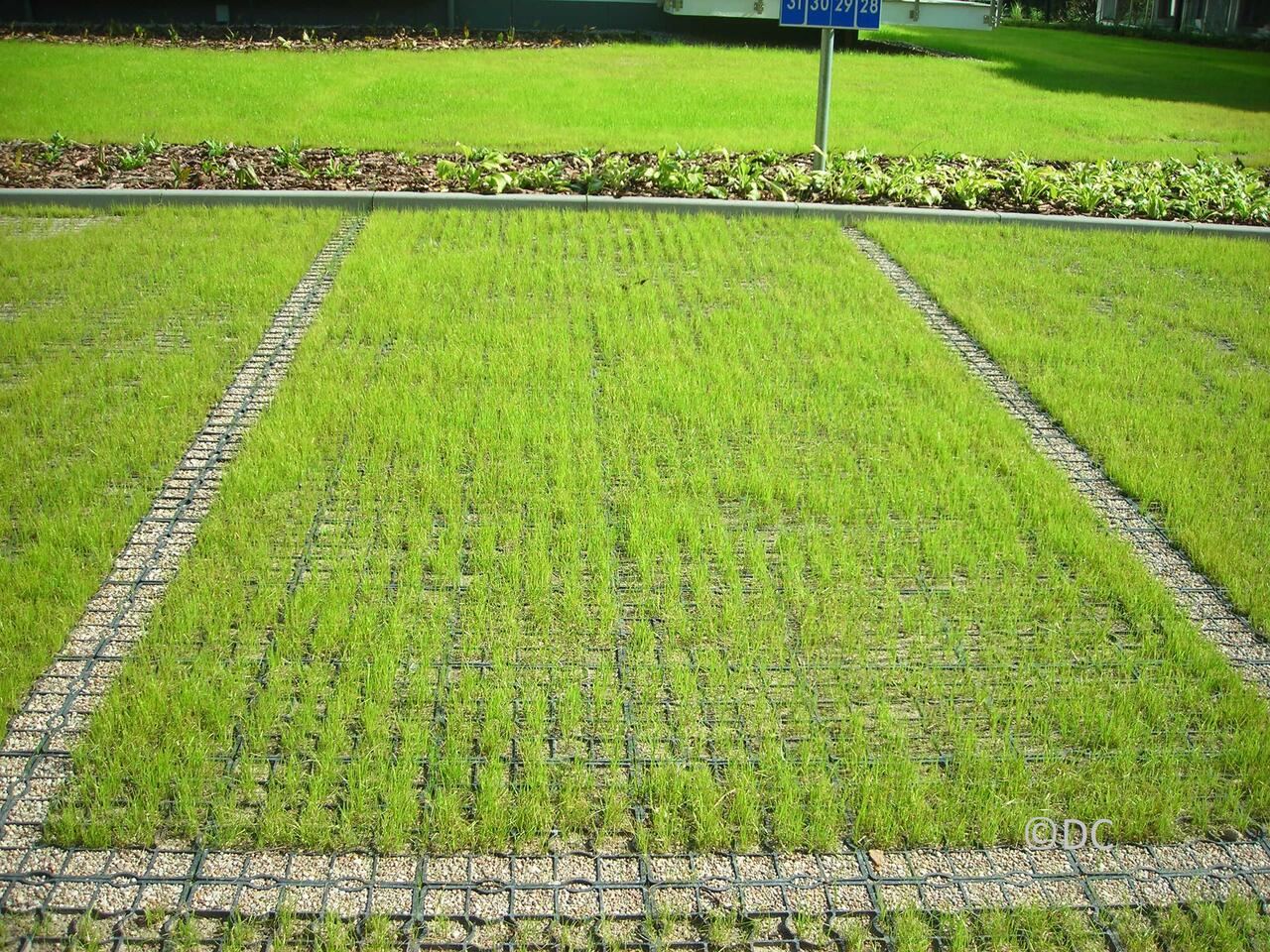 fertig bewachsener ecoraster parkflaeche schweiz
