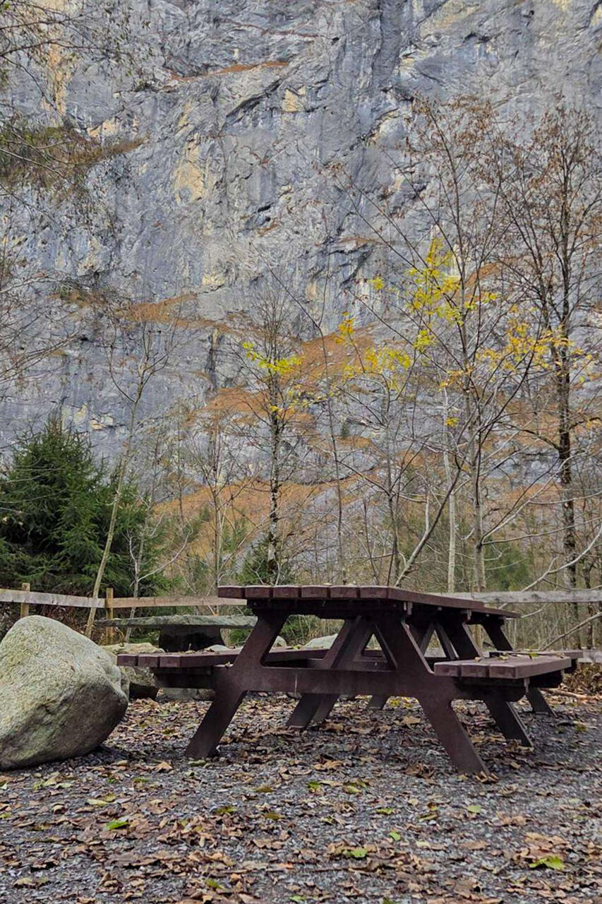 Medien (2)-Bearbeitet.jpg