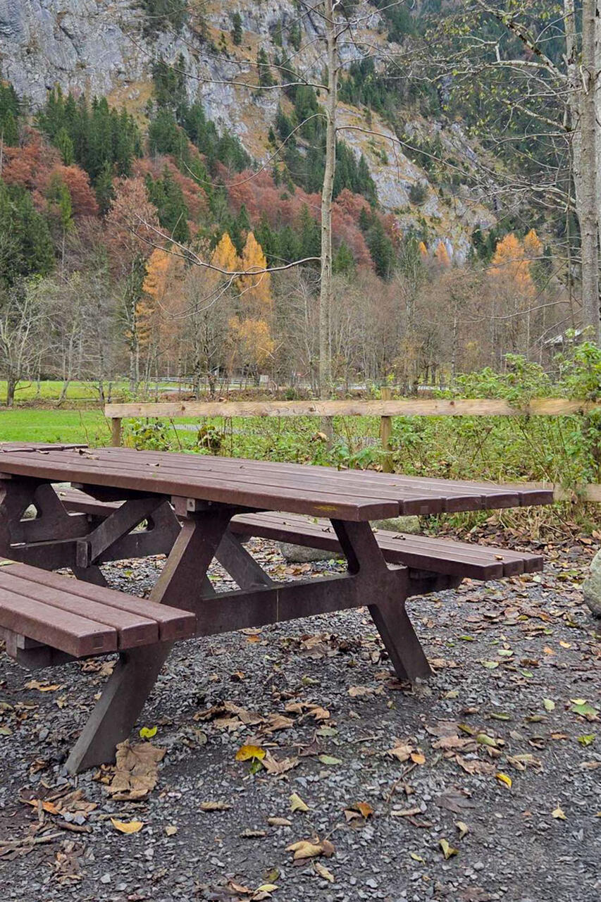 Medien (3)-Bearbeitet.jpg