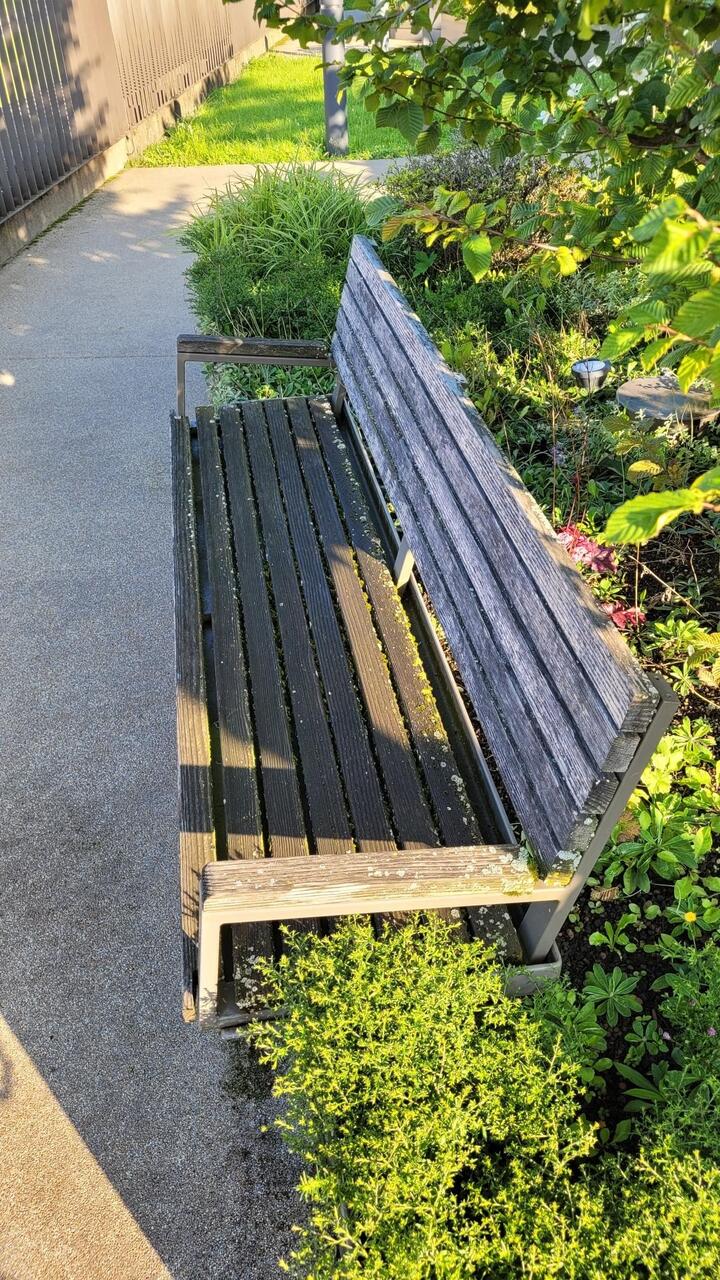 shared image (1) (1).jpg