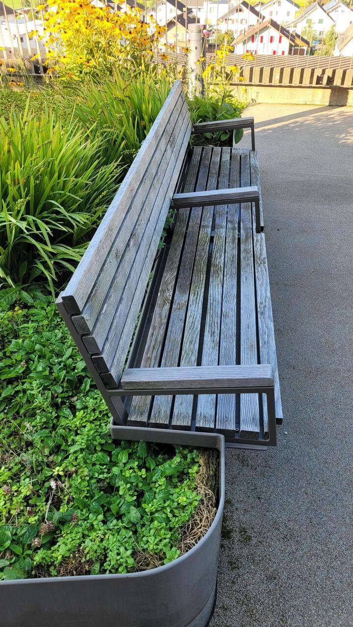 shared image (2).jpg