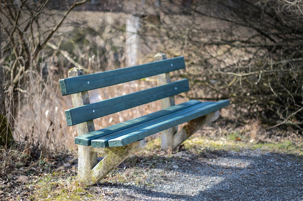 sitzbank-renovieren-schweiz